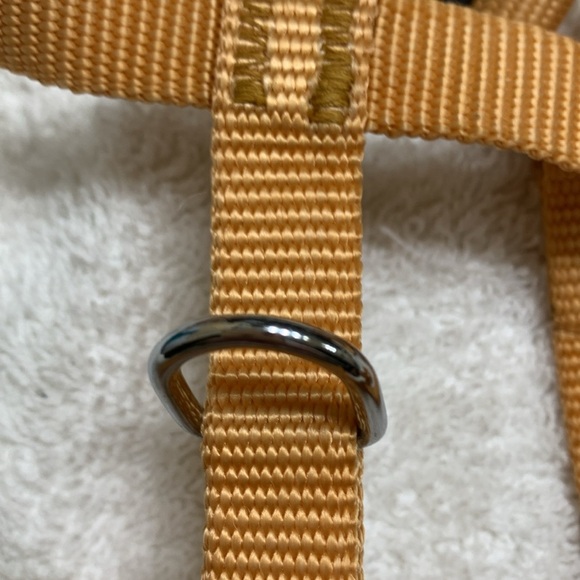 Harness with leash in gold/yellow NWOT - Picture 5 of 8